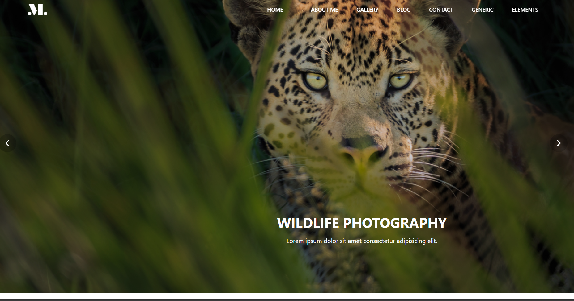 Photography Portfolio Website